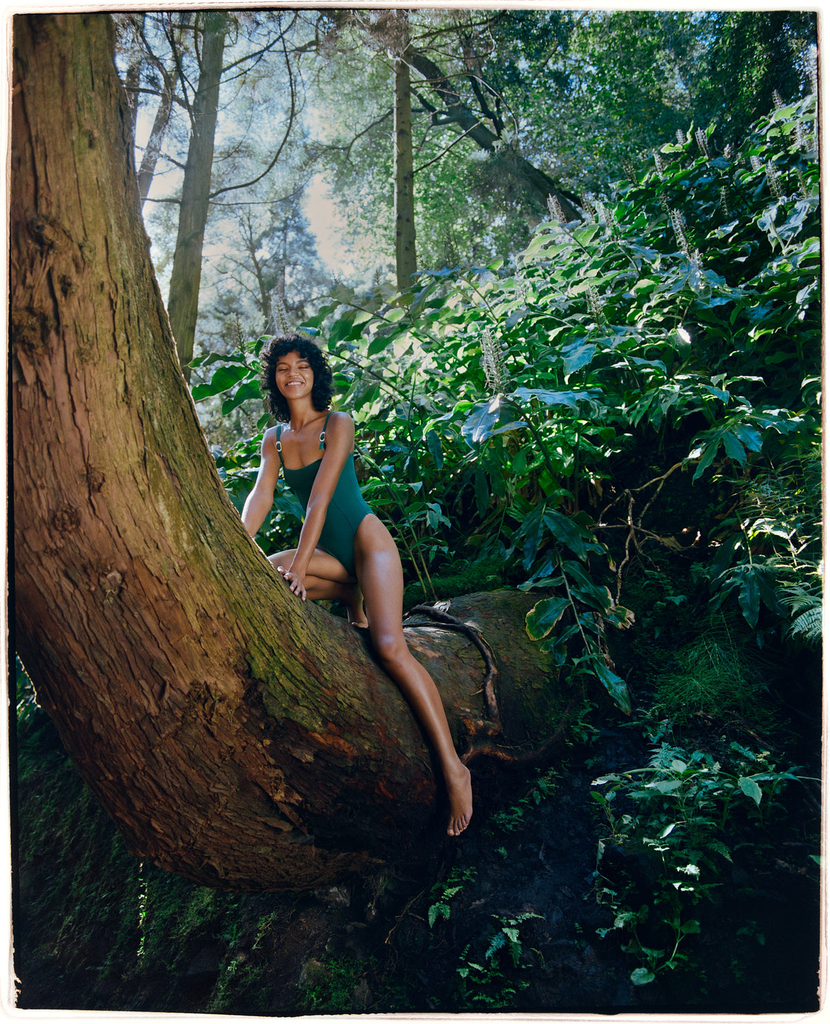 Rio - Jungle