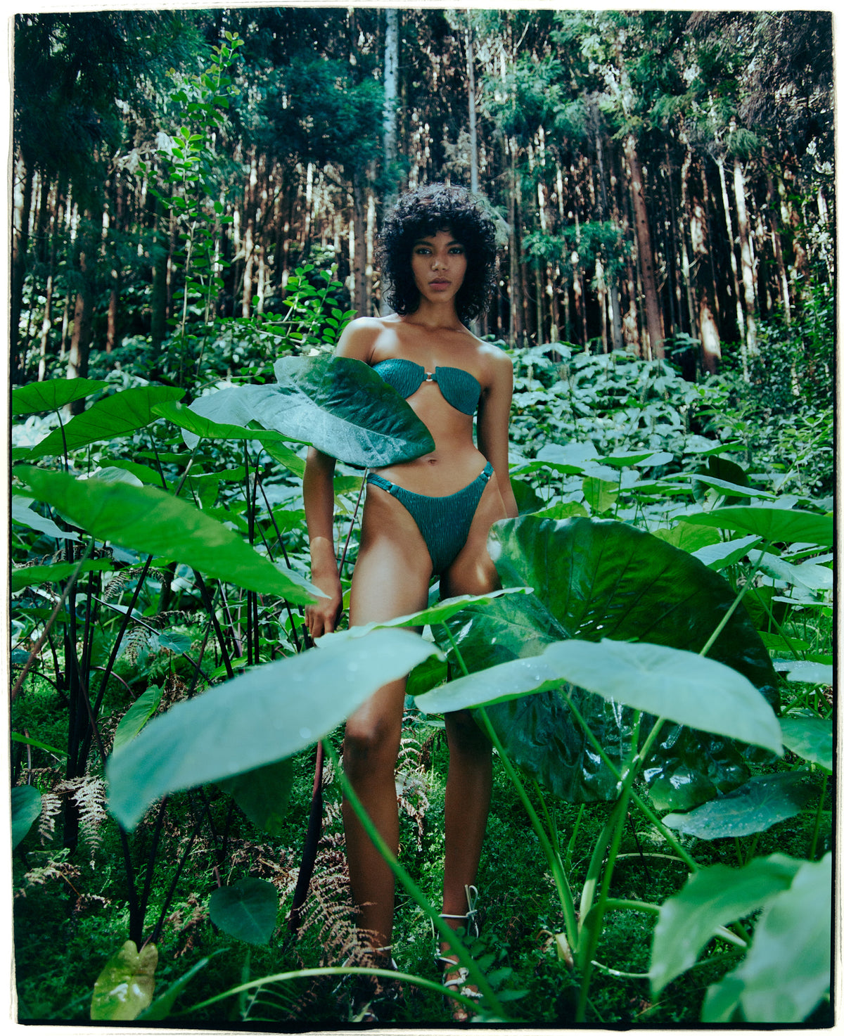 Tropic - Top - Jungle